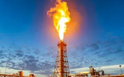 Achieving Zero Leaks in Industry: Which Solutions?