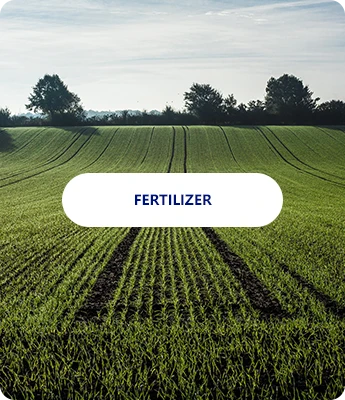 Fertilizer